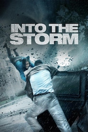 Into the Storm