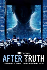 After Truth: Disinformation And The Cost Of Fake News