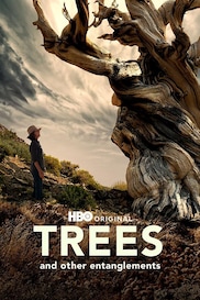 Trees and Other Entanglements