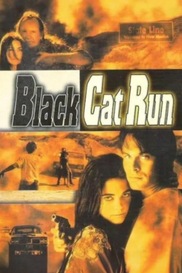 Black Cat Run