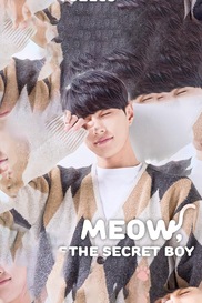 Meow, The Secret Boy