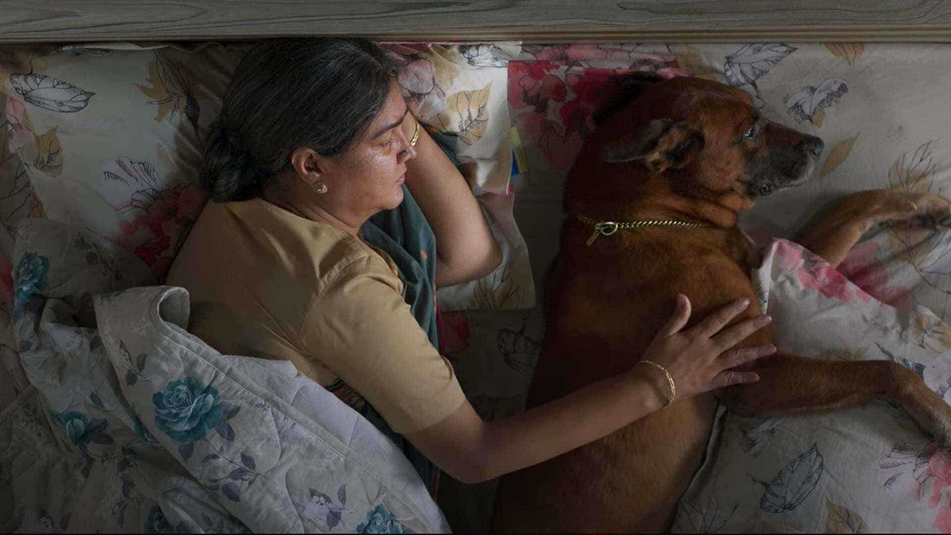 Appatha Review Urvashi's splendid performance lifts this predictable