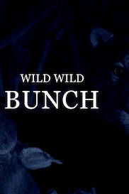 Wild Wild Bunch