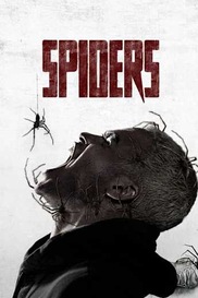 Spiders