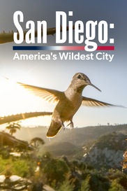 San Diego: America's Wildest City