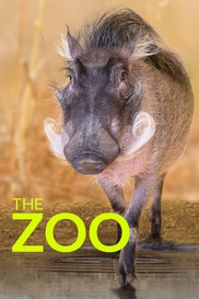 The Zoo
