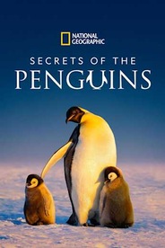 Secrets of the Penguins