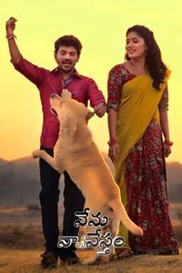 Nenu Naa Nestham