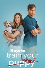 How To Train Your Husband