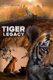 Tiger Legacy