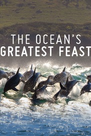 The Ocean's Greatest Feast