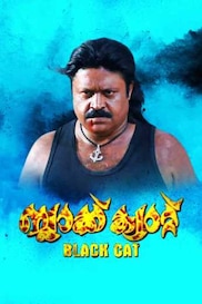 Black Cat