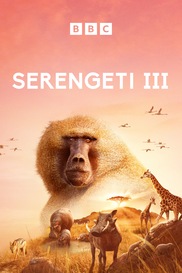 Serengeti III