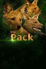 The Pack