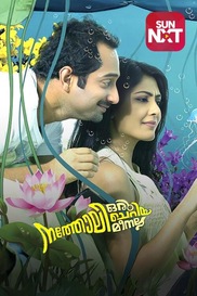 Natholi Oru Cheriya Meenalla