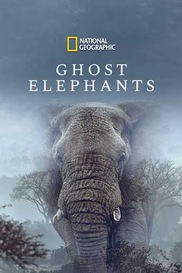Ghost Elephants