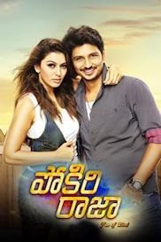 Pokkiri Raja