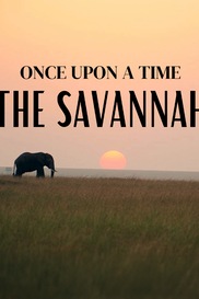 Once Upon A Time: The Savannah