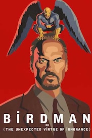 Birdman or (The Unexpected Virtue of Ignorance)