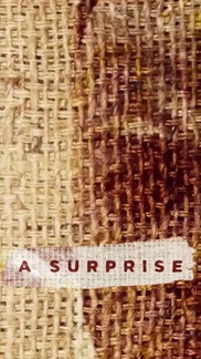 A Surprise - English - Thriller - Shortfilm
