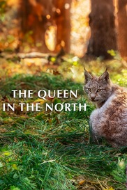 The Queen in the North