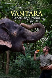 Vantara: Sanctuary Stories