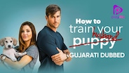 How To Train Your Husband (Gujarati Dubbed)