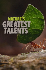 Nature's Greatest Talents