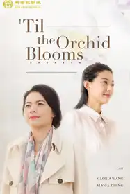 Til The Orchid Blooms - Chinese Drama Short film