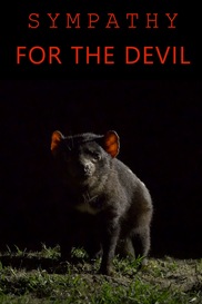 Sympathy For The Devil