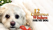 12 Christmas Wishes For My Dog