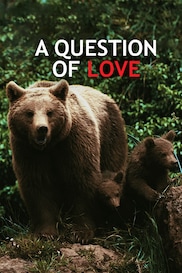 A Question of Love?