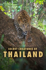 Secret Creatures of Thailand