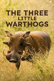 The Three Little Warthogs