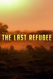 The Last Refuge