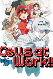 Cells At Work!