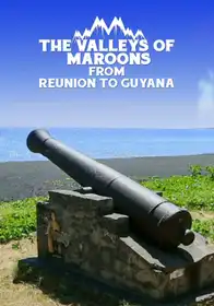 The Valleys Of Maroons  From Reunion To Guyana