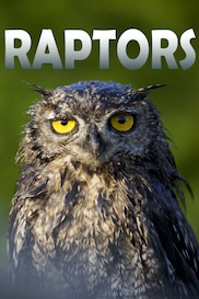 Raptors