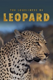 The Loneliness of Leopard