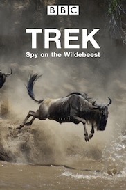 Trek: Spy on the Wildebeest