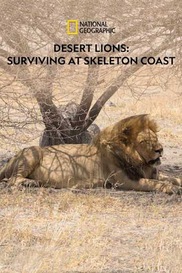 Desert Lions : Surviving at Skeleton Coast