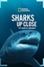 Sharks Up Close with Bertie Gregory