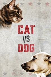 Cat vs Dog