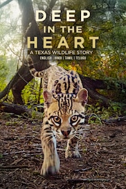 Deep in the Heart: A Texas Wildlife Story