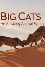 Big Cats: An Amazing Animal Family