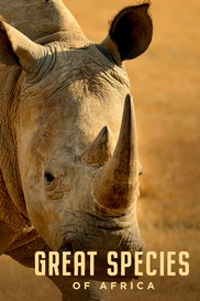 Great Species of Africa