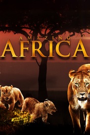 Amazing Africa