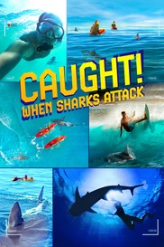 Caught! When Sharks Attack