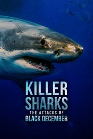 Killer Sharks