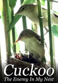 Cuckoo - The Enemy In My Nest